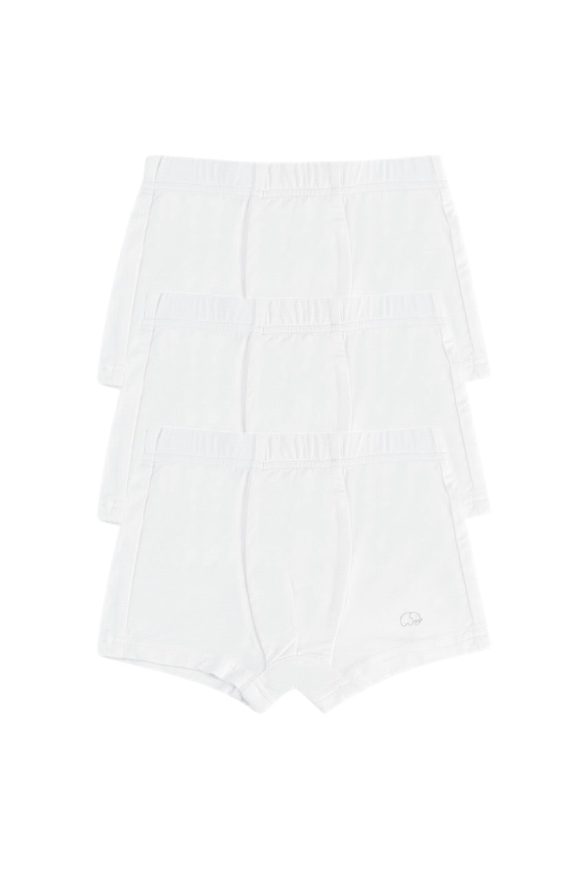 Organic Boys Bamboo Boxer Brief Underwear Set Of 3- White