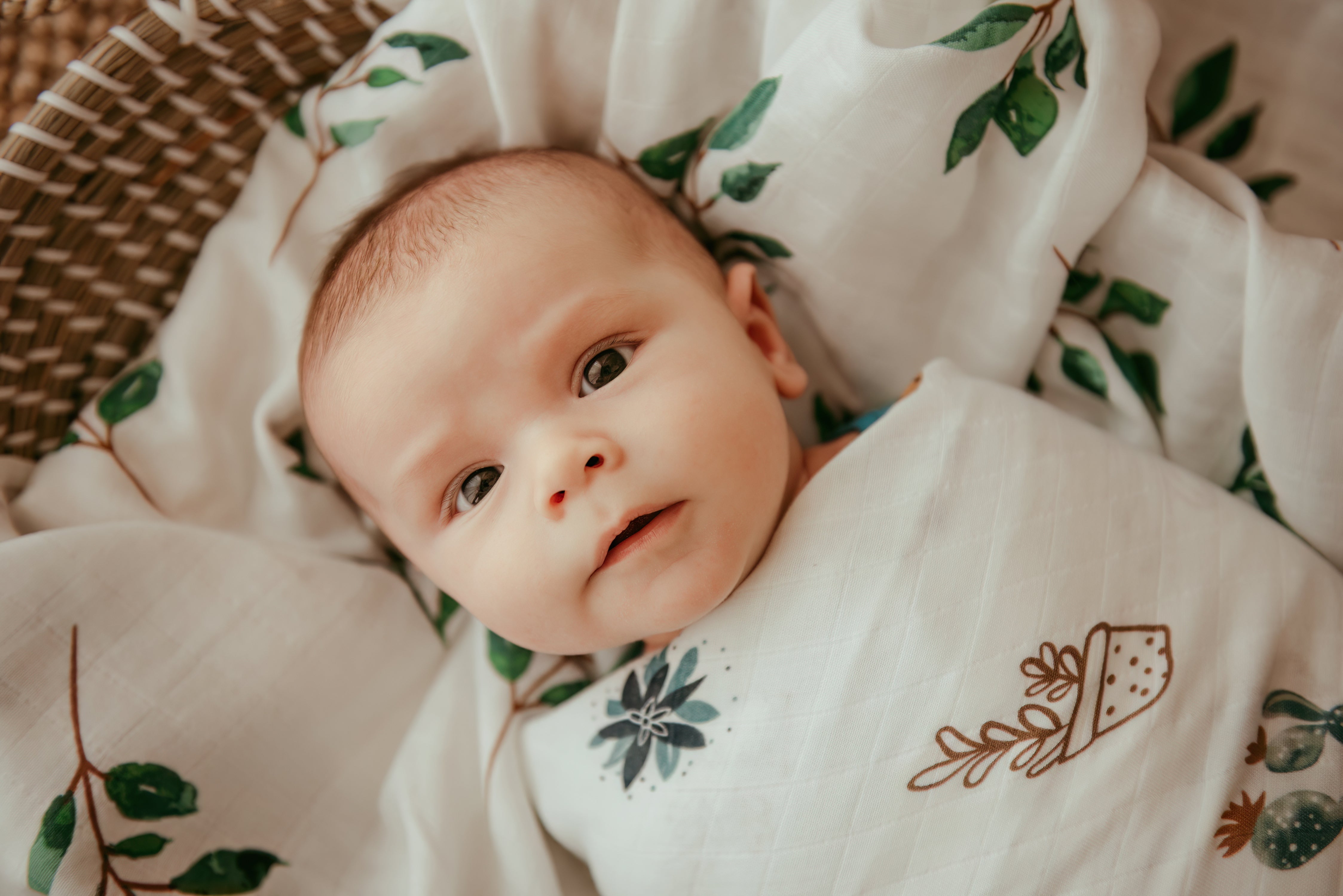 Muslin Swaddle | 100% Bamboo | Weeping Willow